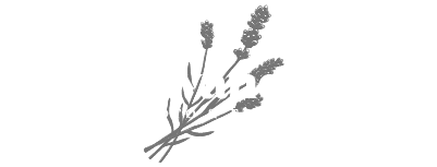 Lavanda Studio | Fotografia y Video de Bodas Logo